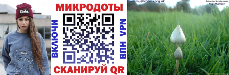 цены   Домодедово  Галлюциногенные грибы мицелий 